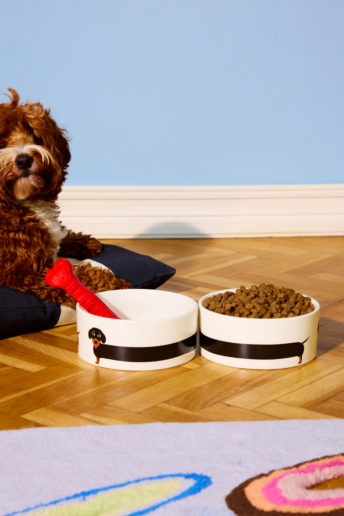 Bowl Teckel - Schale Dackel - AADOGBOWLTG - Fluid Market-dquadrat