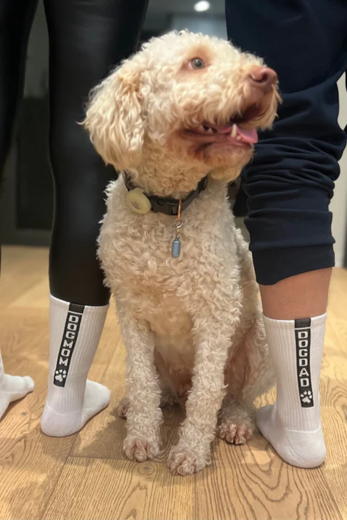DOGDAD-Socken-MyDayMyDream-dquadrat_2