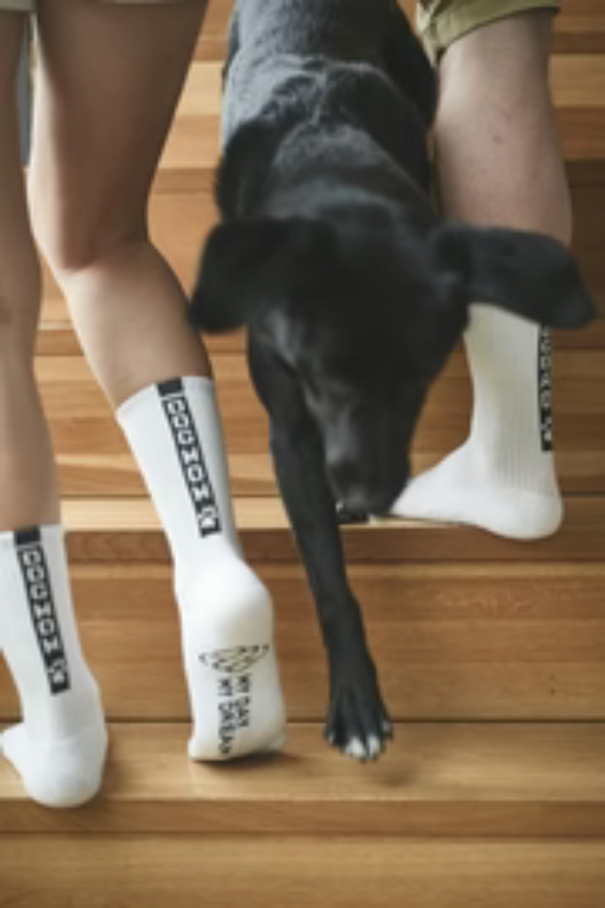 DOGMOM-Socken-MyDayMyDream-dquadrat_1