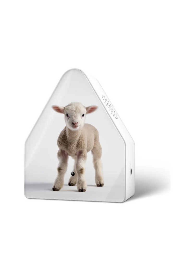 Heidibox Limited Edition Spring 25 Baby Sheep - 11HBX0301001 - Relaxound-dquadrat