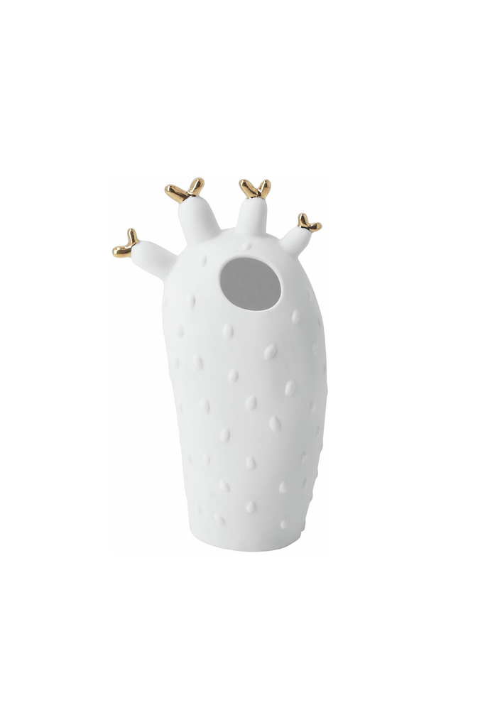 Kakteenvase Mini "Korallenkaktus" - 17570 - Räder Design-dquadrat