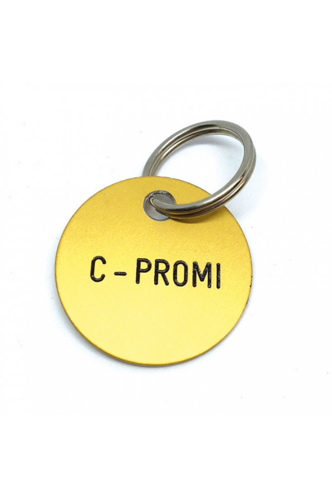 Schlüsselanhänger - verschiedene Varianten - Familie von Quast