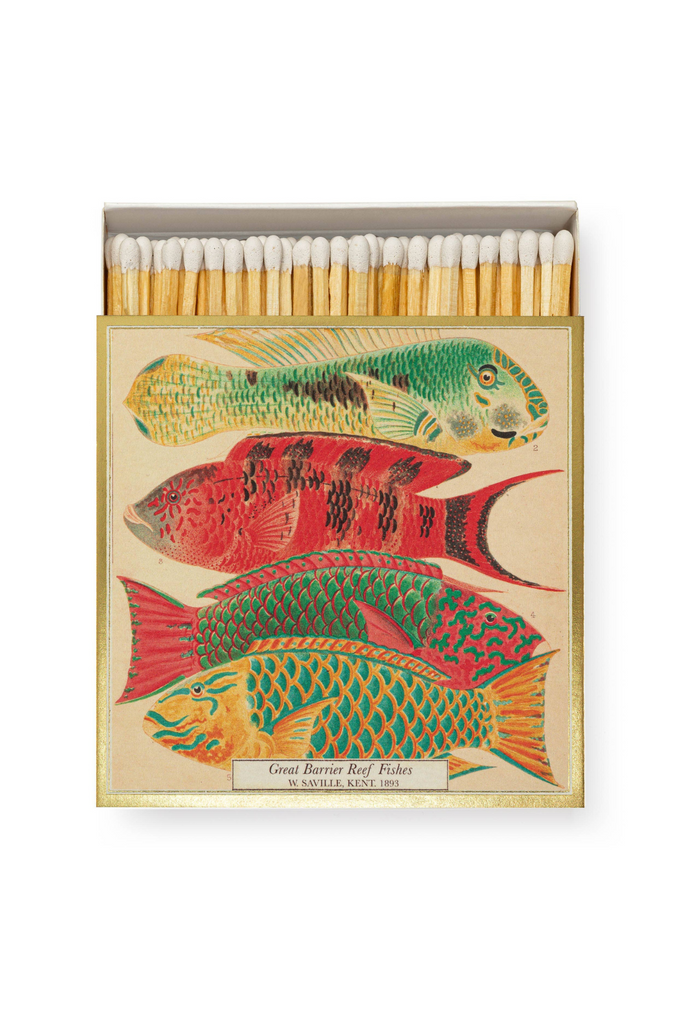 Sicherheitsstreichhölzer - Naturhistorisches Museum Fisch - Archivist Gallery - Europe - Quadrat-dquadrat
