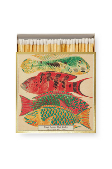 Sicherheitsstreichhölzer - Naturhistorisches Museum Fisch - Archivist Gallery - Europe - Quadrat-dquadrat