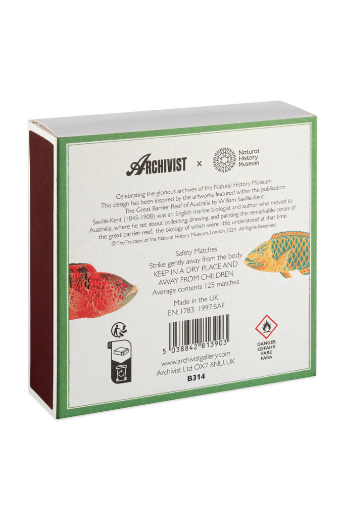 Sicherheitsstreichhölzer - Naturhistorisches Museum Fisch - Archivist Gallery - Europe - Quadrat-dquadrat