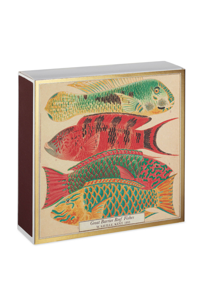 Sicherheitsstreichhölzer - Naturhistorisches Museum Fisch - Archivist Gallery - Europe - Quadrat-dquadrat