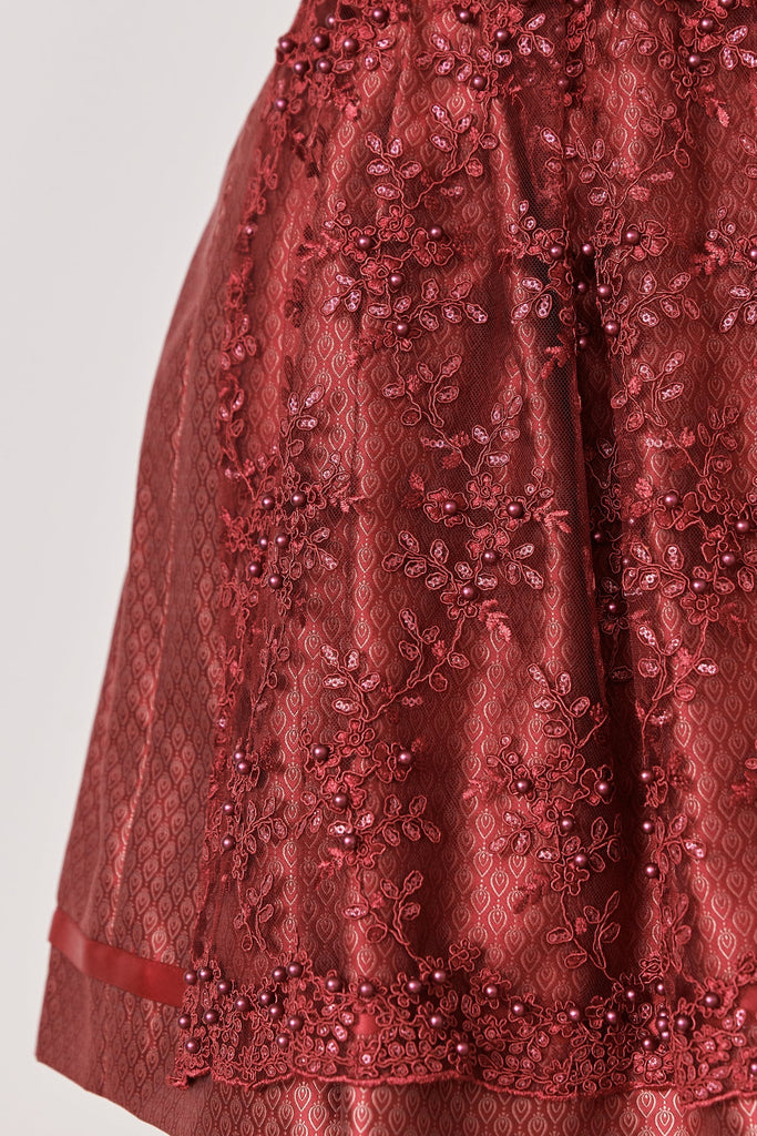  Analyzing image     dirndl-armanda-madl-krueger-rot-419467-050-0009-dquadrat_13