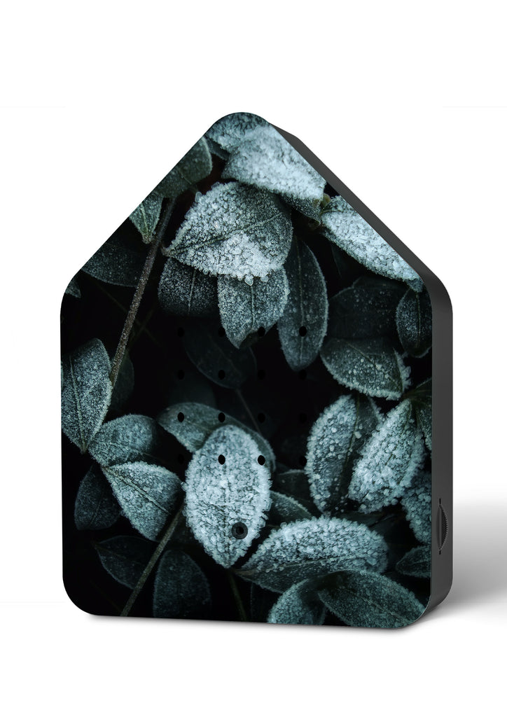 zwitscherbox-relaxound-frosty-leaves-dquadrat
