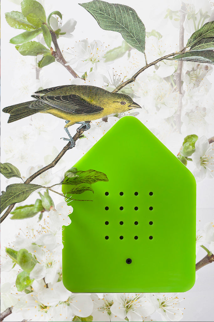 zwitscherbox mit vogelsound grün