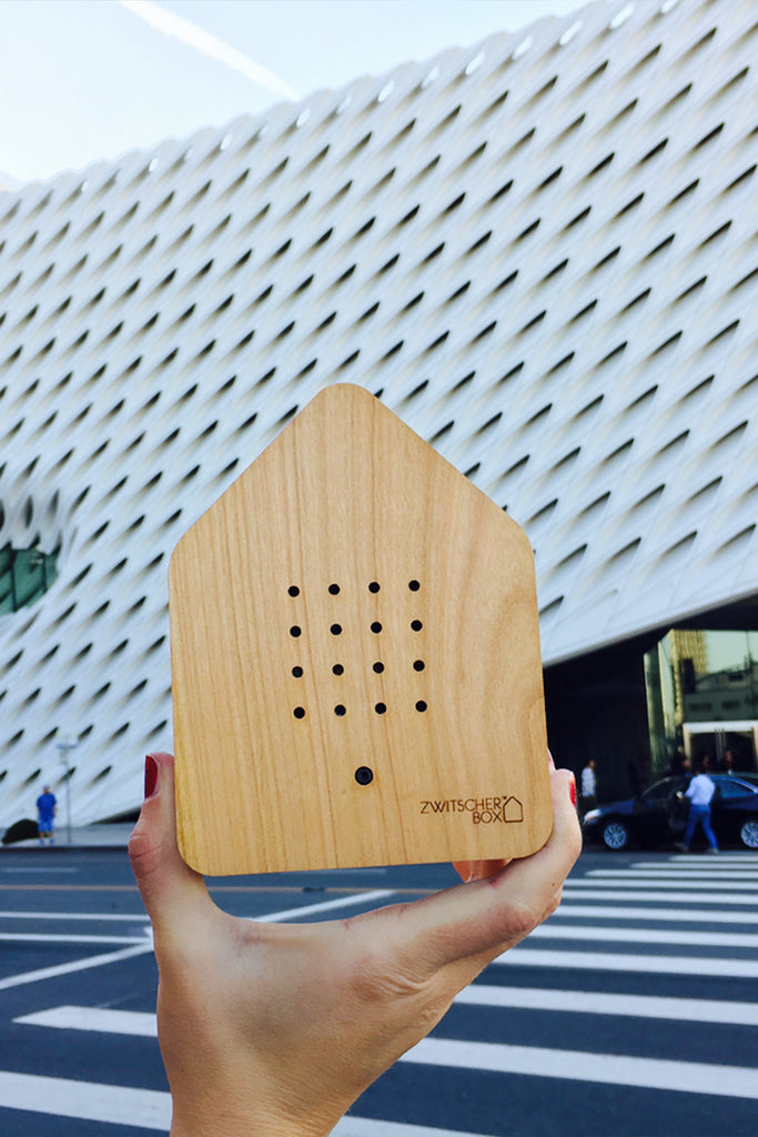 zwitscherbox mit vogelsound holz kirsche