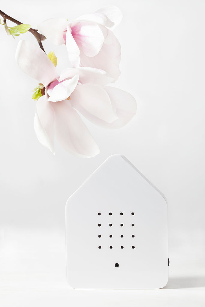 zwitscherbox mit vogelsound weiß